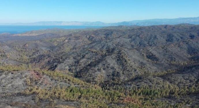 Marmaris’te 4 bin 500 hektarlık orman yandı