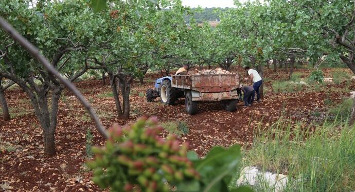 Pazarcık’ta genç kalmadı: 6 bin civarında kişi yurt dışına gitti