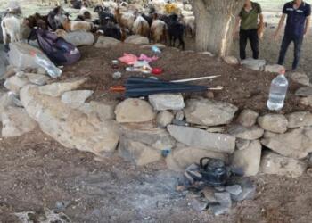 Diyarbakır’da yıldırım çarpan 6 kişi yaralandı