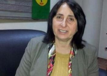 AİHM kararına rağmen Aydoğan’ın yargılanması devam edecek