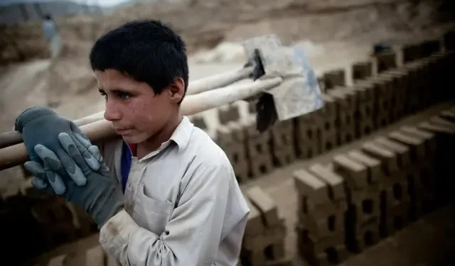 İSİG Meclisi: AKP’li yıllarda en az 811 çocuk işçi yaşamını yitirdi