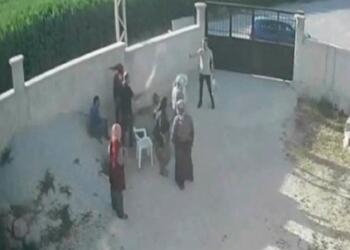 Dedeoğulları Davası: Demokratik hukuk kurumlarına çağrı yapıldı