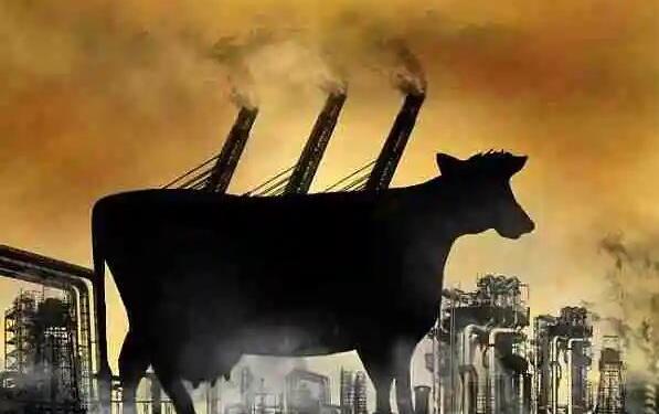 Karadeniz ölürken, doğalgaz ucuzlayacak iddiası