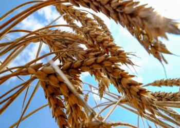 ‘Küresel kriz 2023’te hızla felakete dönüşebilir’