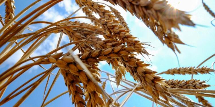 ‘Küresel kriz 2023’te hızla felakete dönüşebilir’