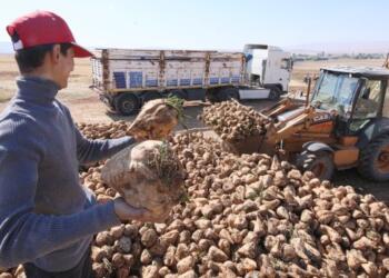 Gıda krizi derinleşiyor