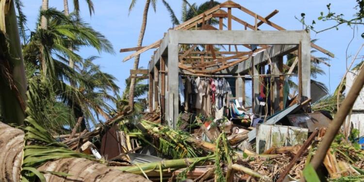 AP‘de ‘yeşil badanaya’ tepki