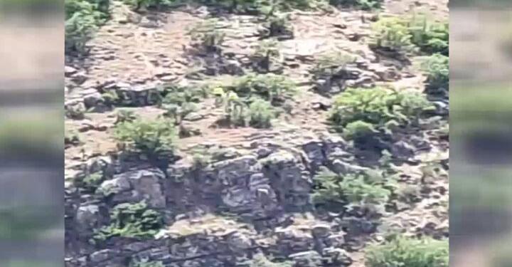 İliç’te tonlarca siyanür Fırat nehrine mi akıyor?