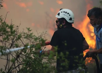 Ormanlar Cumhurbaşkanı sarayı kadar önemli değilmiş!