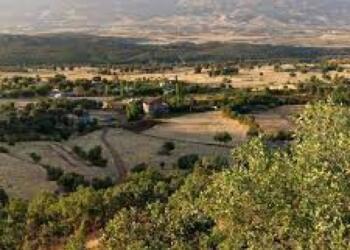 Lice kırsalında gruplar halinde operasyon