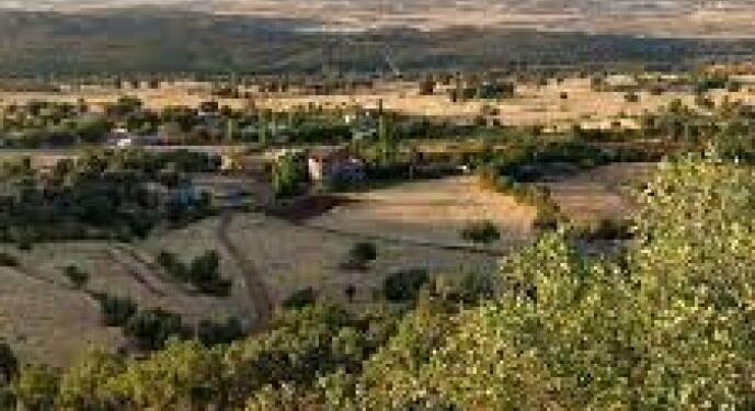 Lice kırsalında gruplar halinde operasyon