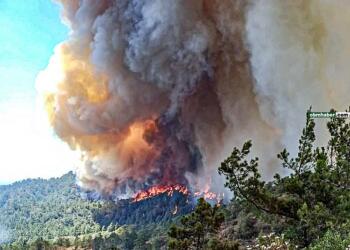 Marmaris’te orman yangını: Gece görüşlü yangın helikopteri yokmuş