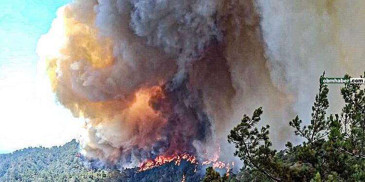 Marmaris’te orman yangını: Gece görüşlü yangın helikopteri yokmuş