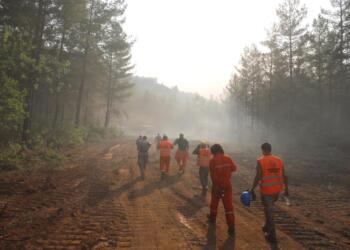 Marmaris yangını: 2 bin 881 hektar zarar gördü