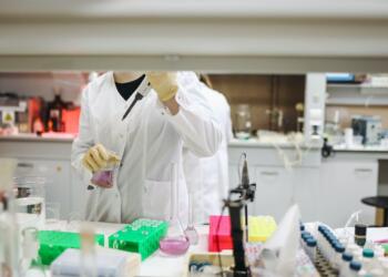 WHO: Maymun çiçeği vaka sayısı 780’e yükseldi