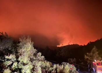Marmaris’te orman yangını: Bir kişi gözaltına alındı