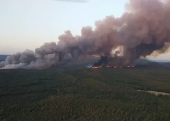 Marmaris’te orman yangını