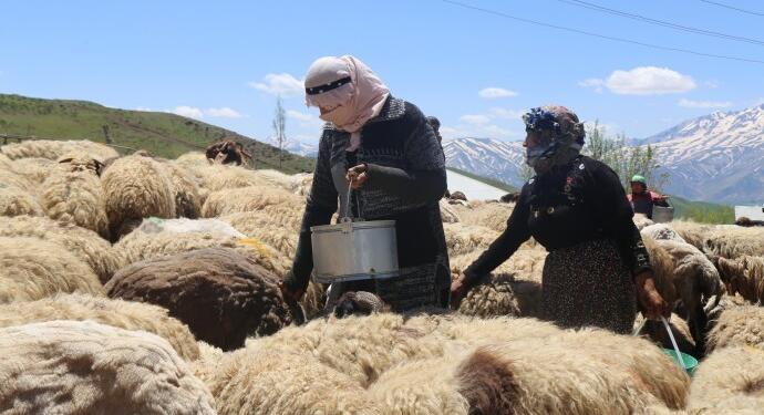 Yayla yasakları halkı köye hapsediyor