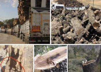 Doğaya saldırılar, savaş politikalarının bir parçası