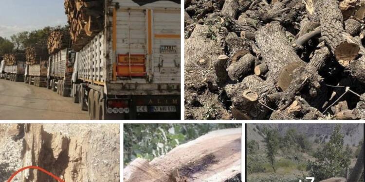 Doğaya saldırılar, savaş politikalarının bir parçası