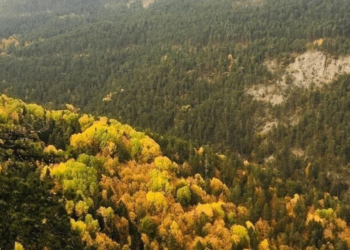 Bakanlığın tek aktivitesi otel yapmak!