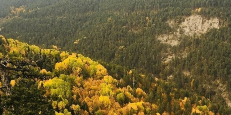 Bakanlığın tek aktivitesi otel yapmak!