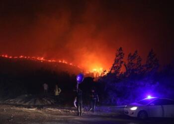 Datça’da yangın kontrol altına alındı: 600 hektarlık alan etkilendi