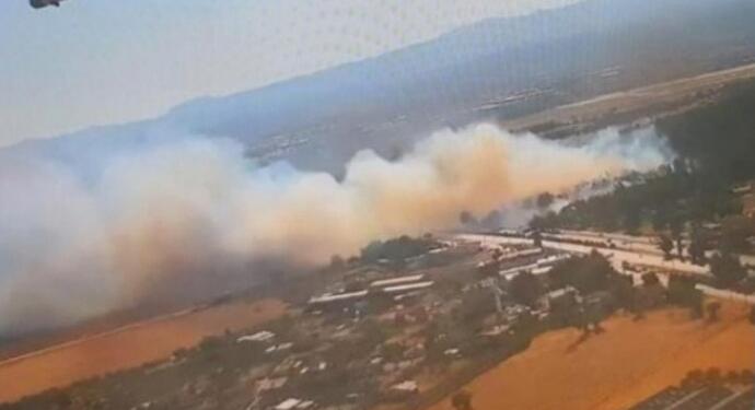 İzmir’de orman yangını