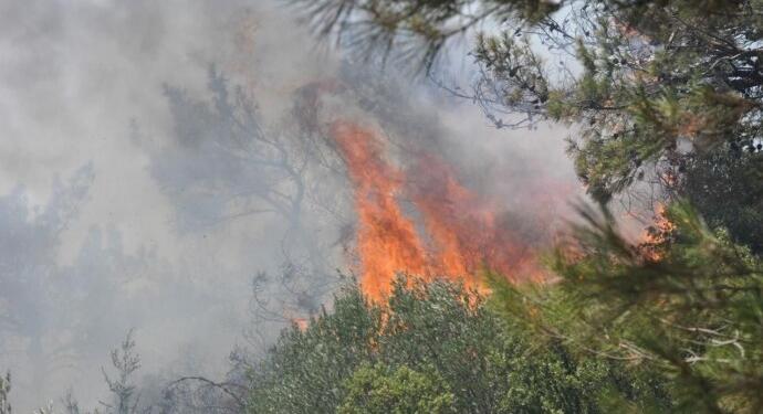 Muğla’da orman yangını