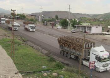 Şırnak’ta doğa katlediliyor: Çevre örgütleri sessiz