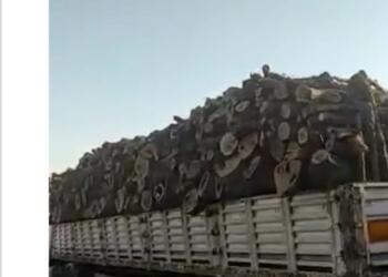 Şırnak Barosu: Doğa’ya değer veren tüm kesimleri duyarlılığa çağırıyoruz