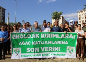 Şırnak’taki doğa katliamına tepki: Siz gittiğinizde de onlar burada olacak