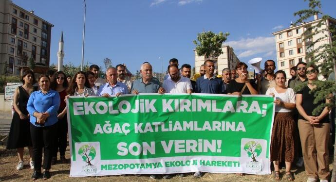 Şırnak’taki doğa katliamına tepki: Siz gittiğinizde de onlar burada olacak