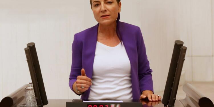 HDP’li Gülüm, transların erişemediği hormon ilaçlarını Meclis’e taşıdı