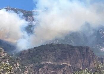 Datça ve Çeşme’de yangın: Evler boşaltıldı, yollar kapandı