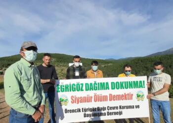 Simav Örencik’te ağaç katliamı başladı!