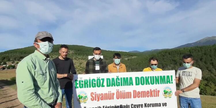 Simav Örencik’te ağaç katliamı başladı!