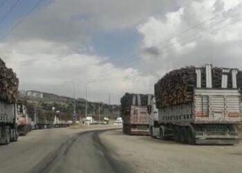 300 avukat Şırnak’ta kıyımın yaşandığı bölgeye gidecek