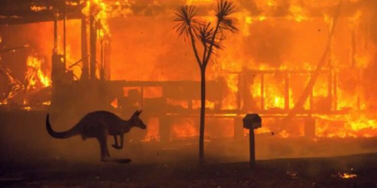 Avustralya’da biyolojik çeşitlilik azalacak