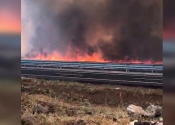 Tekirdağ ve Diyarbakır’da buğday tarlaları yandı