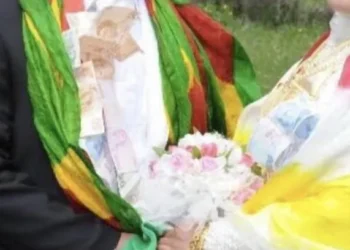 Şal nedeniyle tutuklanan damada dair soru önergesi reddedildi