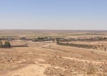 DEDAŞ insanları da hayvanları da susuz bıraktı