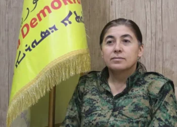 Newroz Ehmed: ‘Birlikte mücadele veriyoruz’ diyenler nerede?