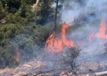 İzmir’de ve Adana’da orman yangını çıktı