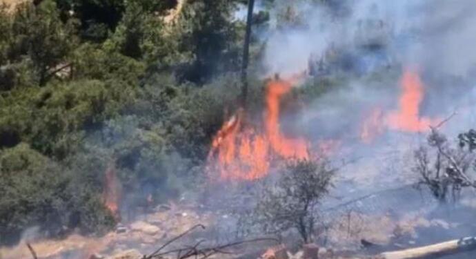 İzmir’de ve Adana’da orman yangını çıktı