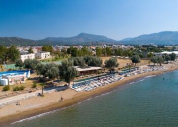 Seferihisar’daki özelleştirme planına karşı odalardan çağrı