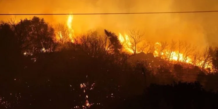 İzmir’de orman yangını: Yerleşim yerlerini tehdit ediyor