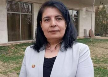 KNK Eşbaşkanı: Mısak-ı Milli hayalleri ile Kürtleri yok etmek!