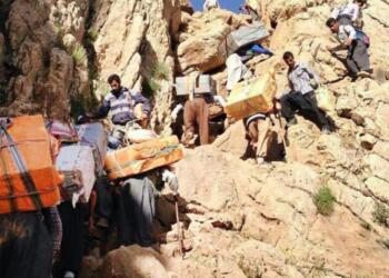 Son 6 ayda 20 kolber hayatını kaybetti