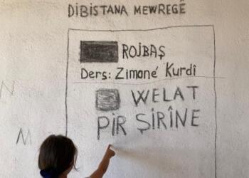 Siyasetçi Mahmut Alınak evinde Kürtçe derslik açtı